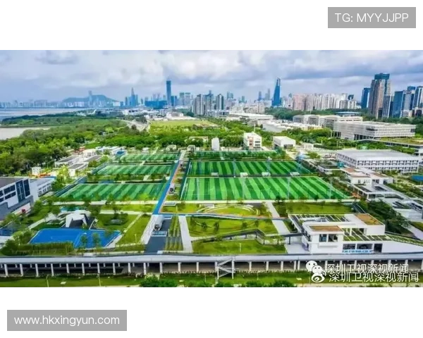 深圳足球队的节奏探秘：从青训到职业联赛的全景分析与展望